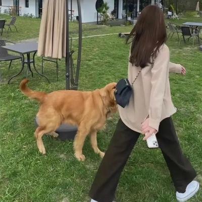 支持女孩们